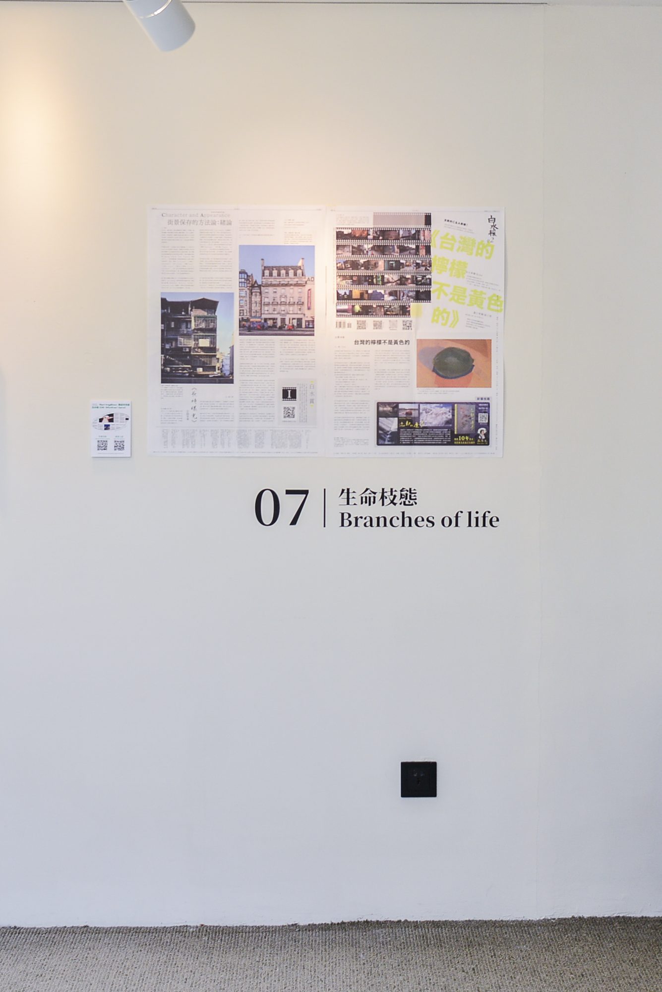 白水拍攝 / DSC_7967.jpg